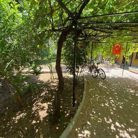 Apartament 3 Odali Bahceli Bbq Kalbinde Ev